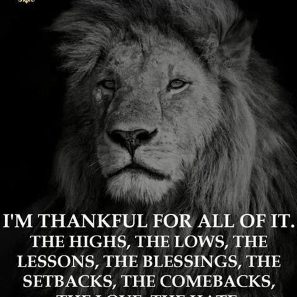 Meet your Posher, Jerry