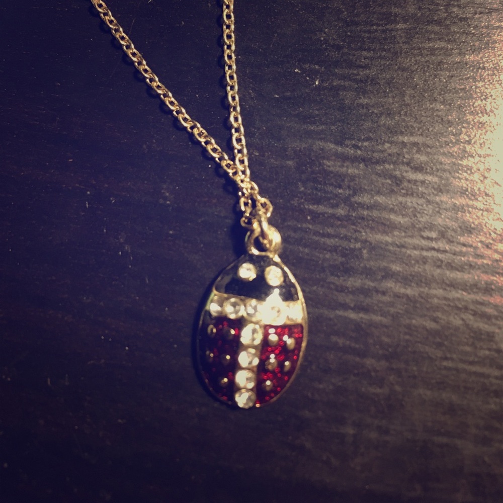 ladybird necklace