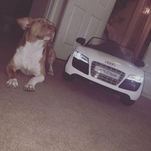 Meet your Posher, Cris