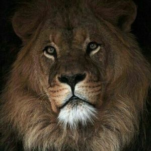 Meet your Posher, Randy