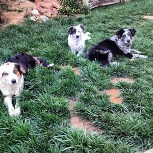 Meet your Posher, Gina