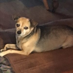 Meet your Posher, Martha