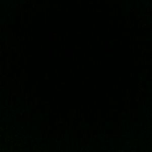 Meet your Posher, Carrington