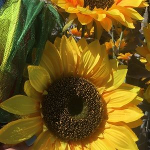 Meet your Posher, Layla