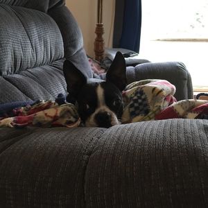 Meet your Posher, Cindy