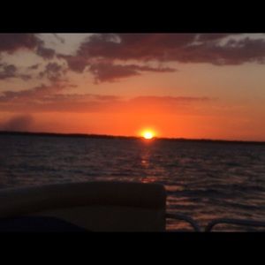 Meet your Posher, Toni