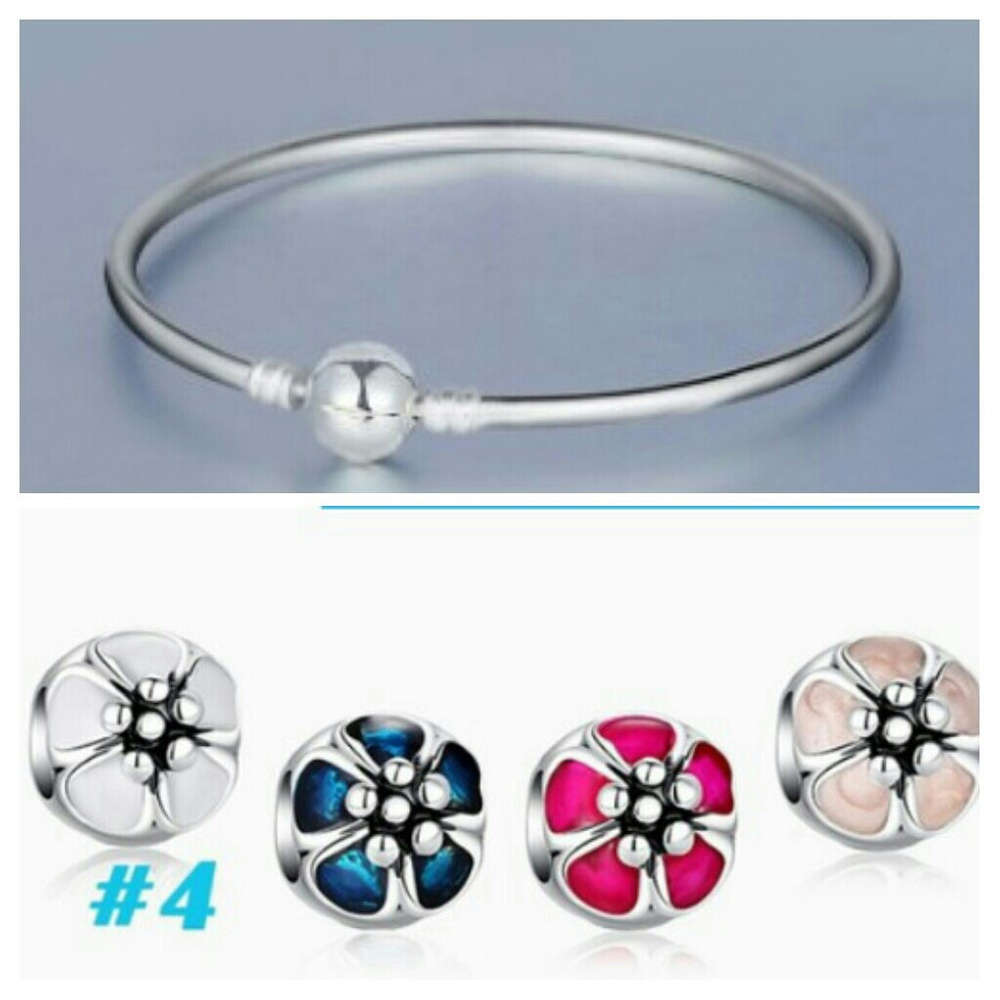 COMING SOON Euro Charm Bracelet & 4 Charms