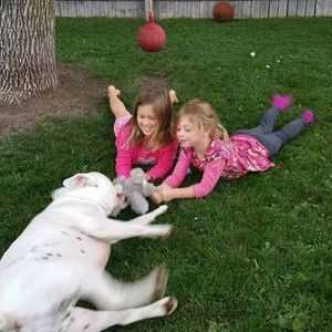 Meet your Posher, Pam