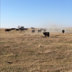 Meet your Posher, Keri