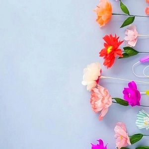 Meet your Posher, Skyla