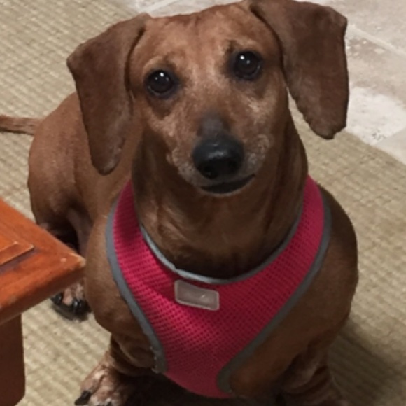 Meet your Posher, Brenda - Picture 3 of 4