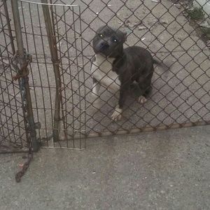 Meet your Posher, Daryl