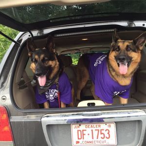 Meet your Posher, Mary