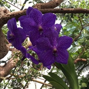 Meet your Posher, Cara