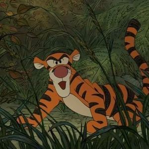 Meet your Posher, Lacey