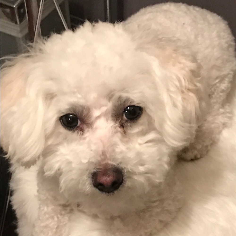 Meet your Posher, Kari