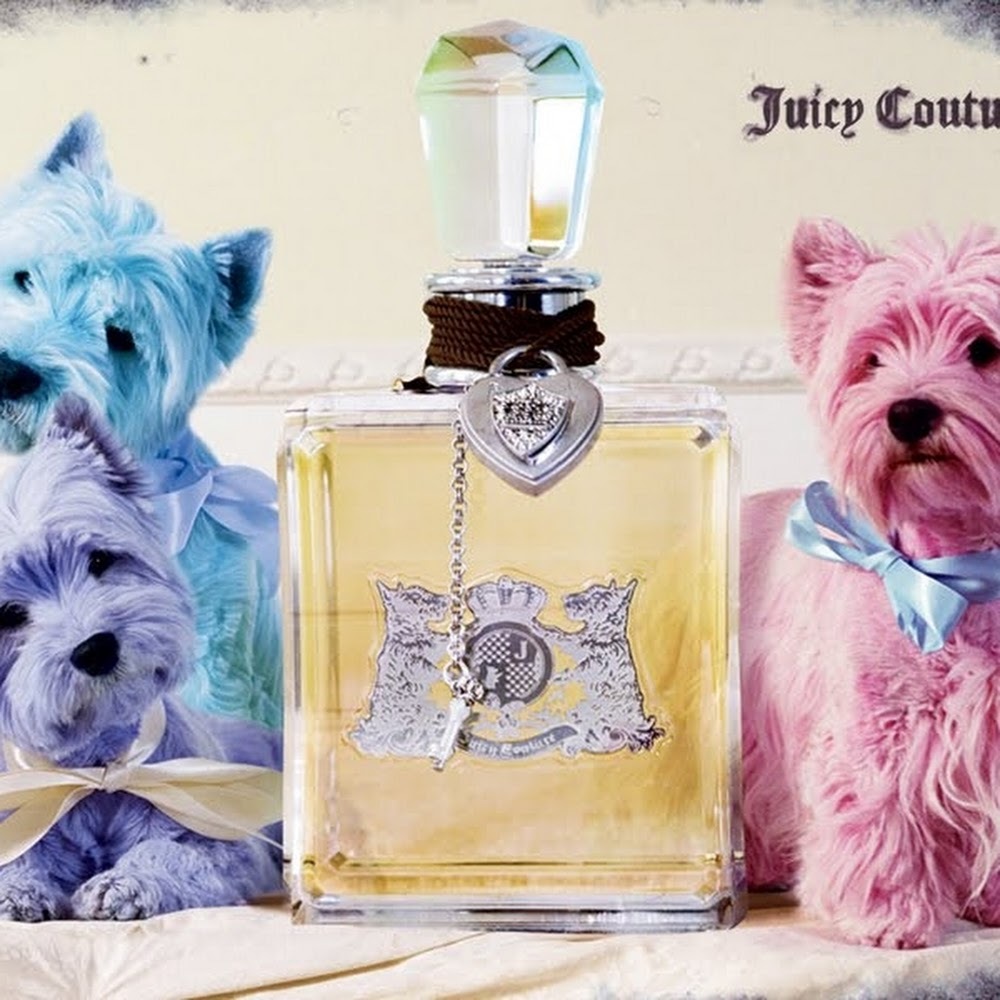 Meet your Posher, Blazianprncss25