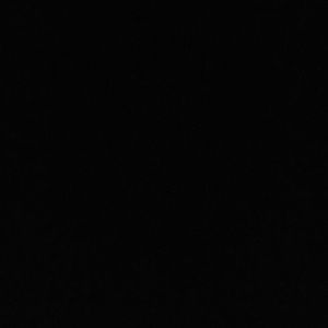 Meet your Posher, Max