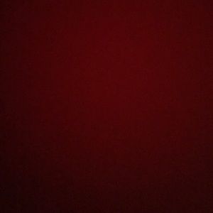 Meet your Posher, Gigi