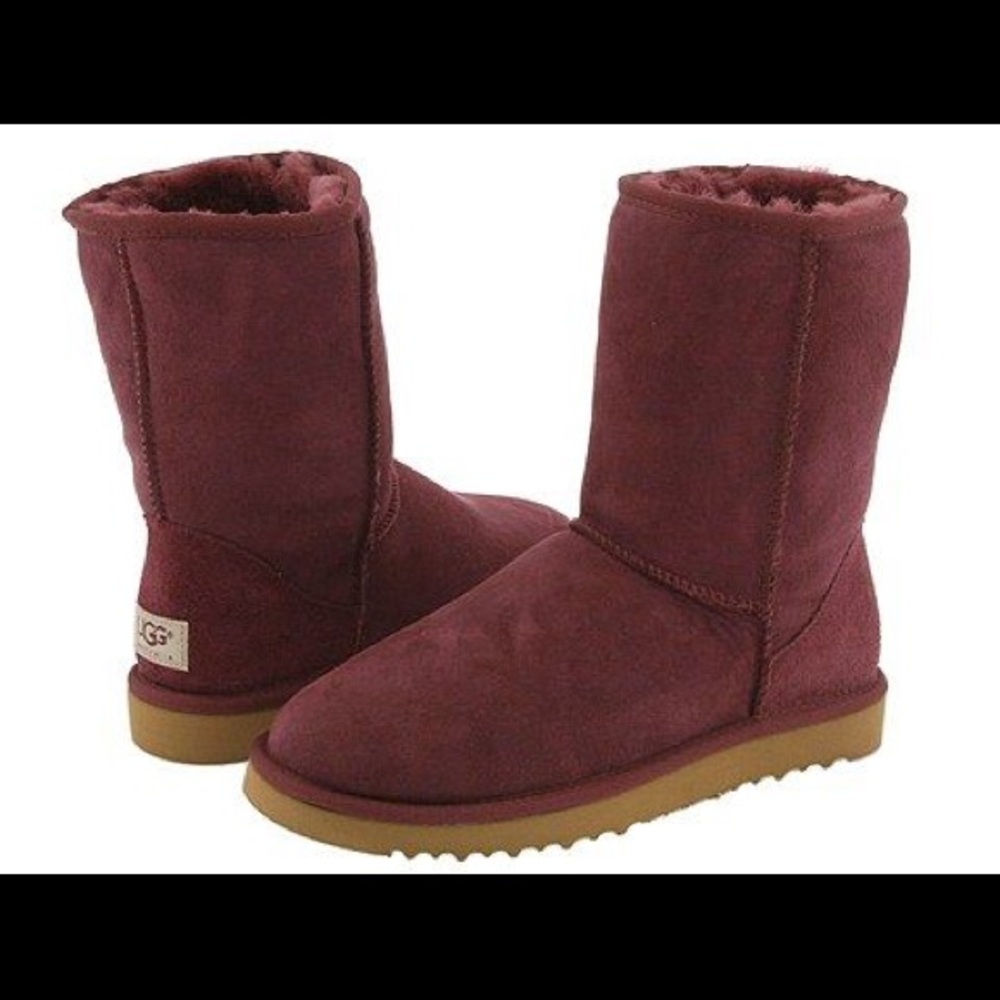 Burgundy UGG Boots - Classic Short