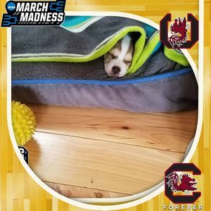 Meet your Posher, Paula