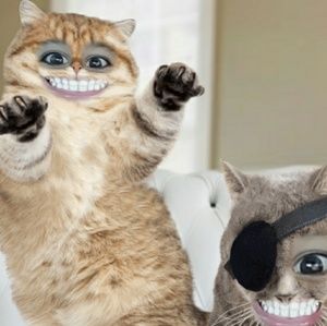 Meet your Posher, Pamela