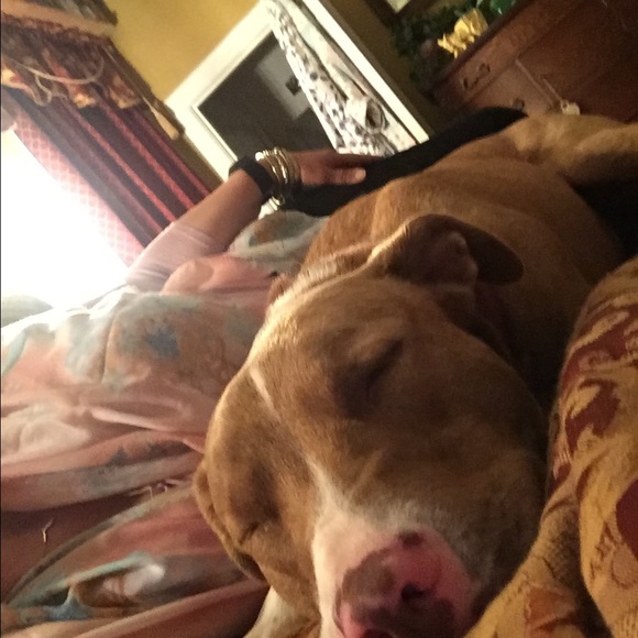 Meet your Posher, Sonia - Picture 2 of 2