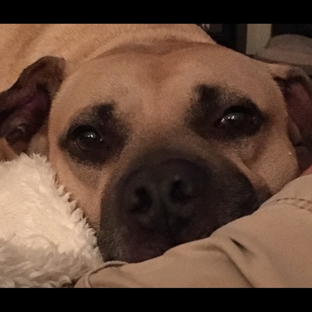 Meet your Posher, Niki