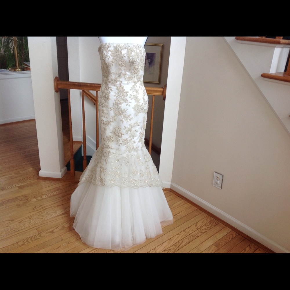 BEAUTIFUL MERMAID DRESS