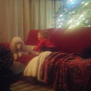 Meet your Posher, Debbie