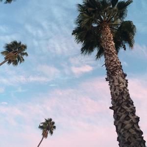 Meet your Posher, Elena