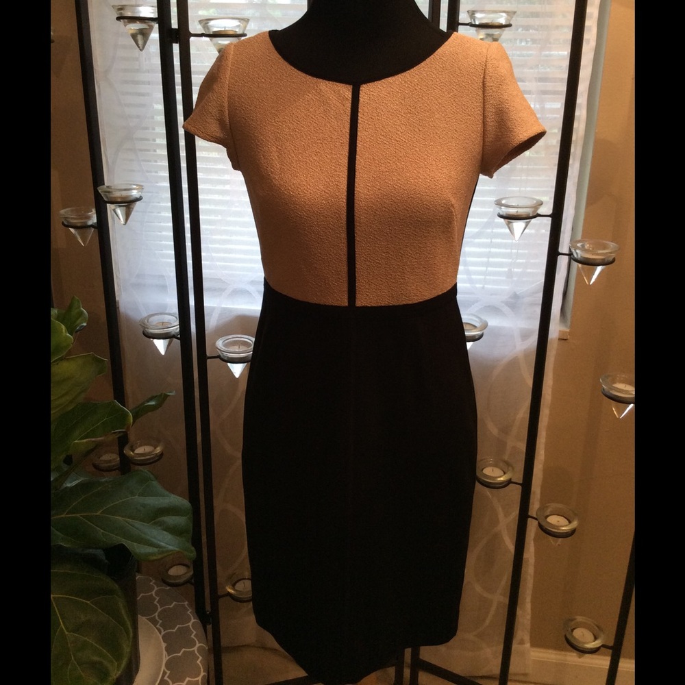 Ann Taylor Light Pink and Black Dress