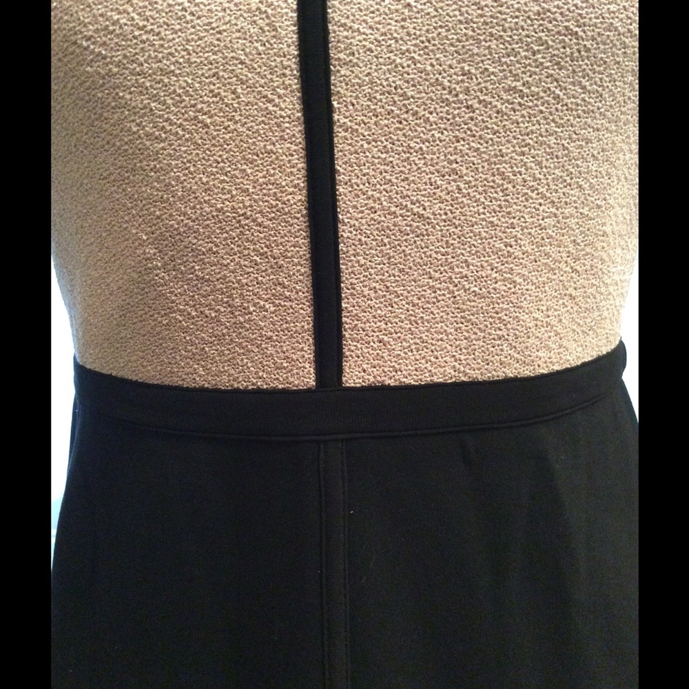 Ann Taylor Light Pink and Black Dress - Picture 4 of 6