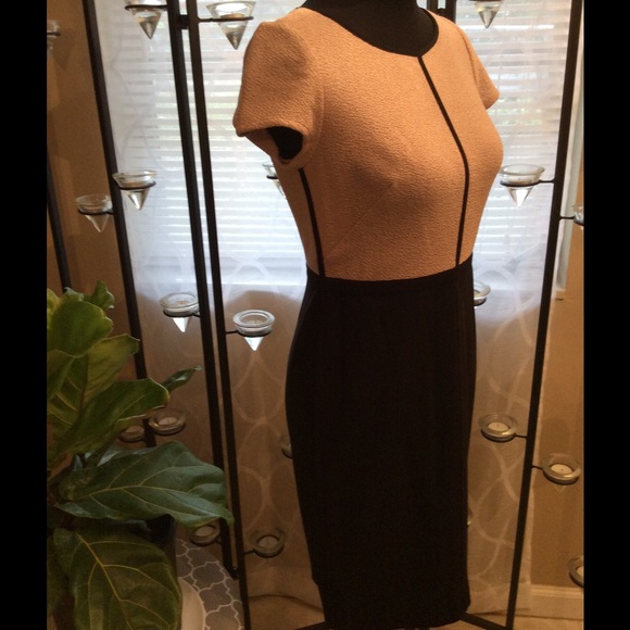 Ann Taylor Light Pink and Black Dress - Picture 2 of 6