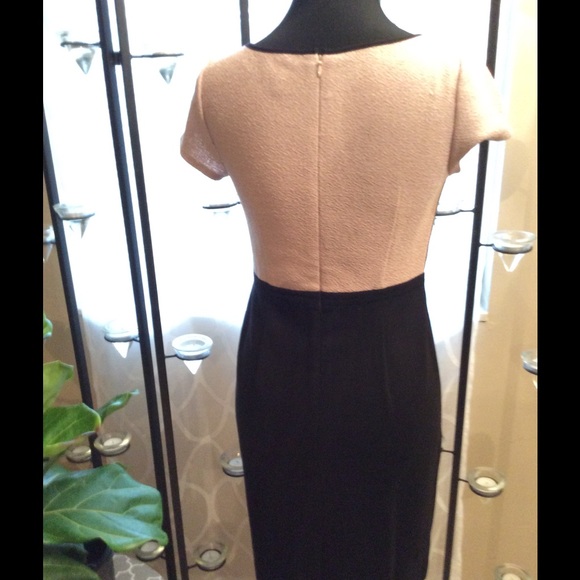 Ann Taylor Light Pink and Black Dress - Picture 3 of 6
