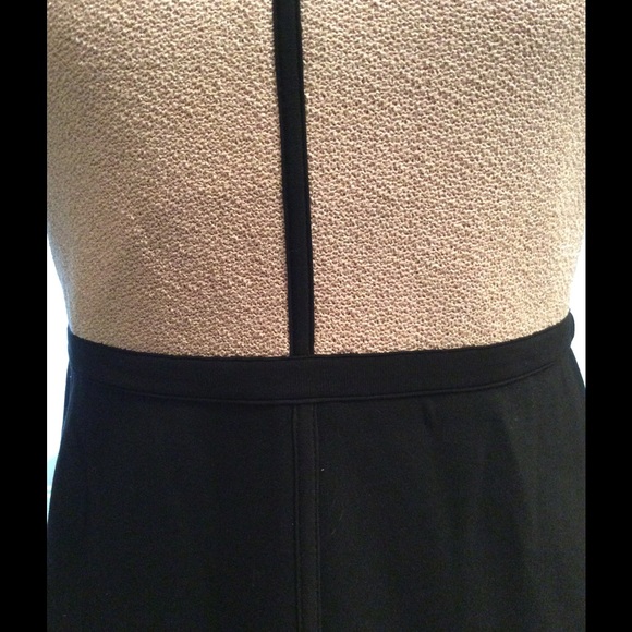 Ann Taylor Light Pink and Black Dress - Picture 4 of 6