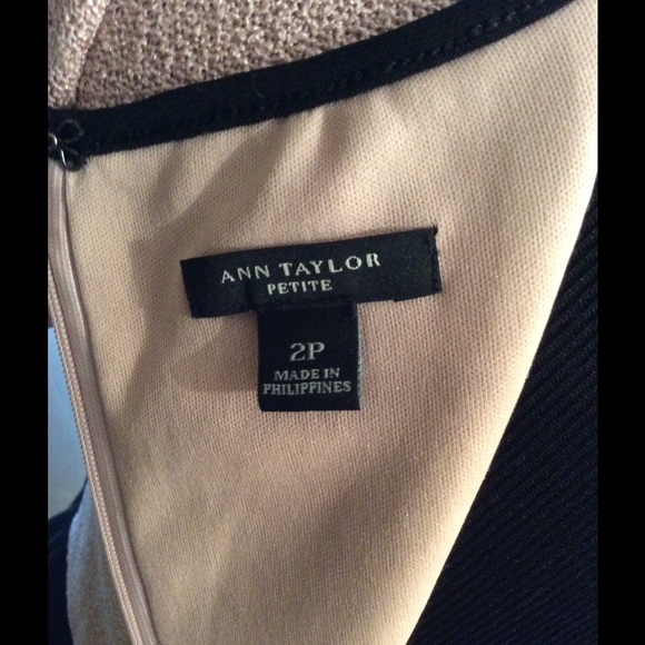 Ann Taylor Light Pink and Black Dress - Picture 5 of 6