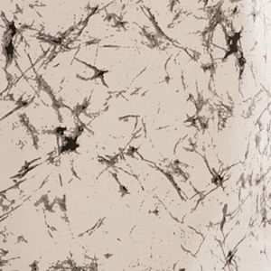 Meet your Posher, Gaelicia