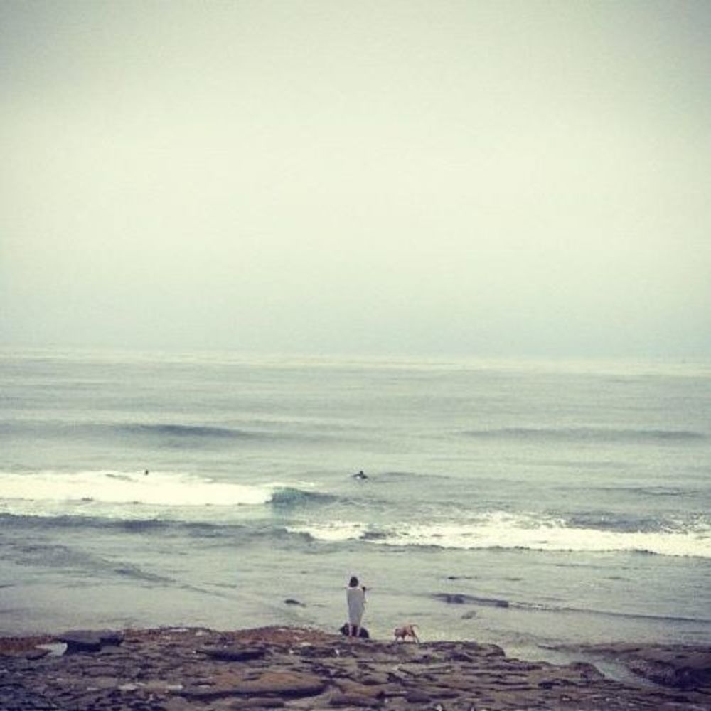 Meet your Posher, Elaine