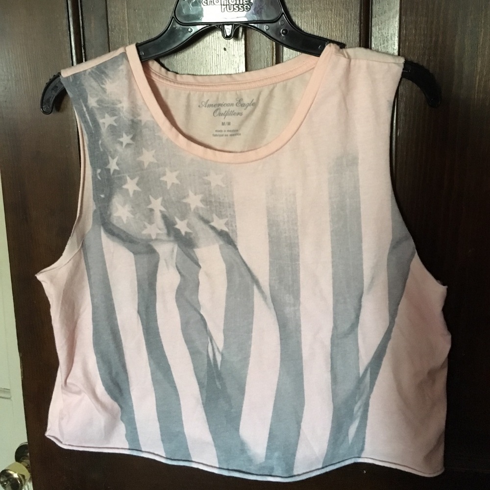 American Eagle Faded Pink Flag Crop Top