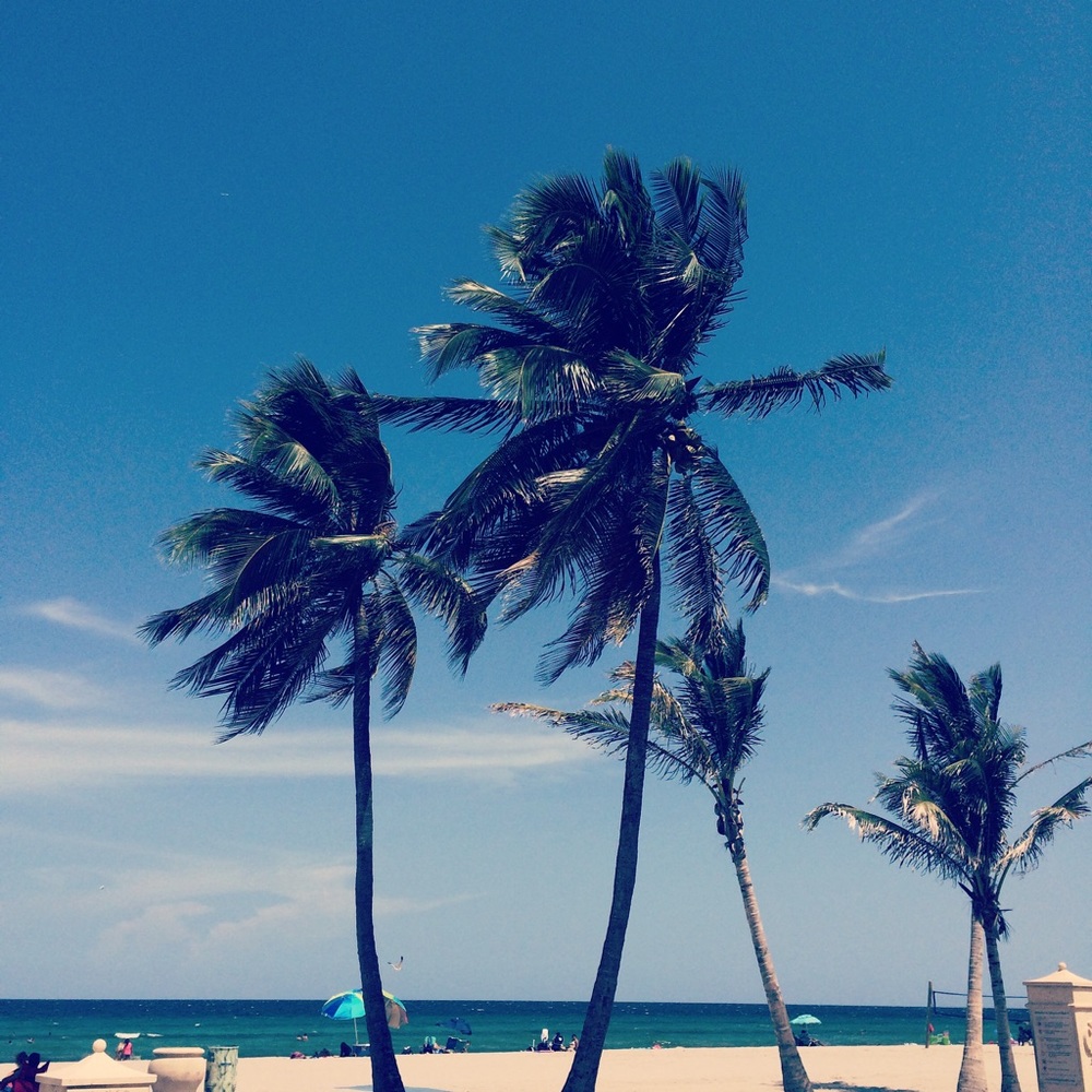 Meet your Posher, Gabbi