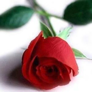 Meet your Posher, Monique