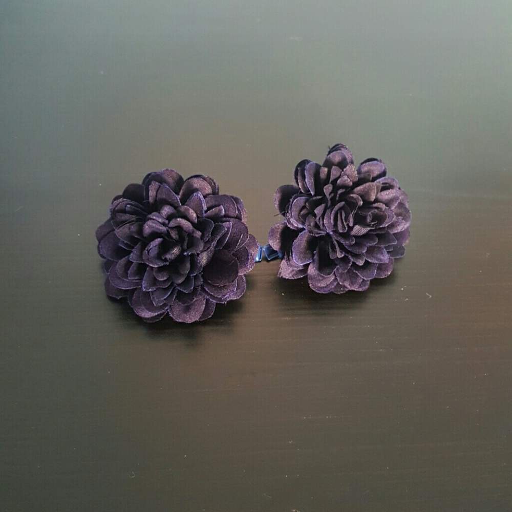 💙2 flower hairclips