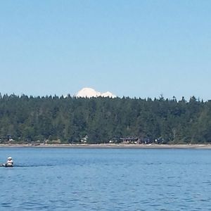 Meet your Posher, Carin