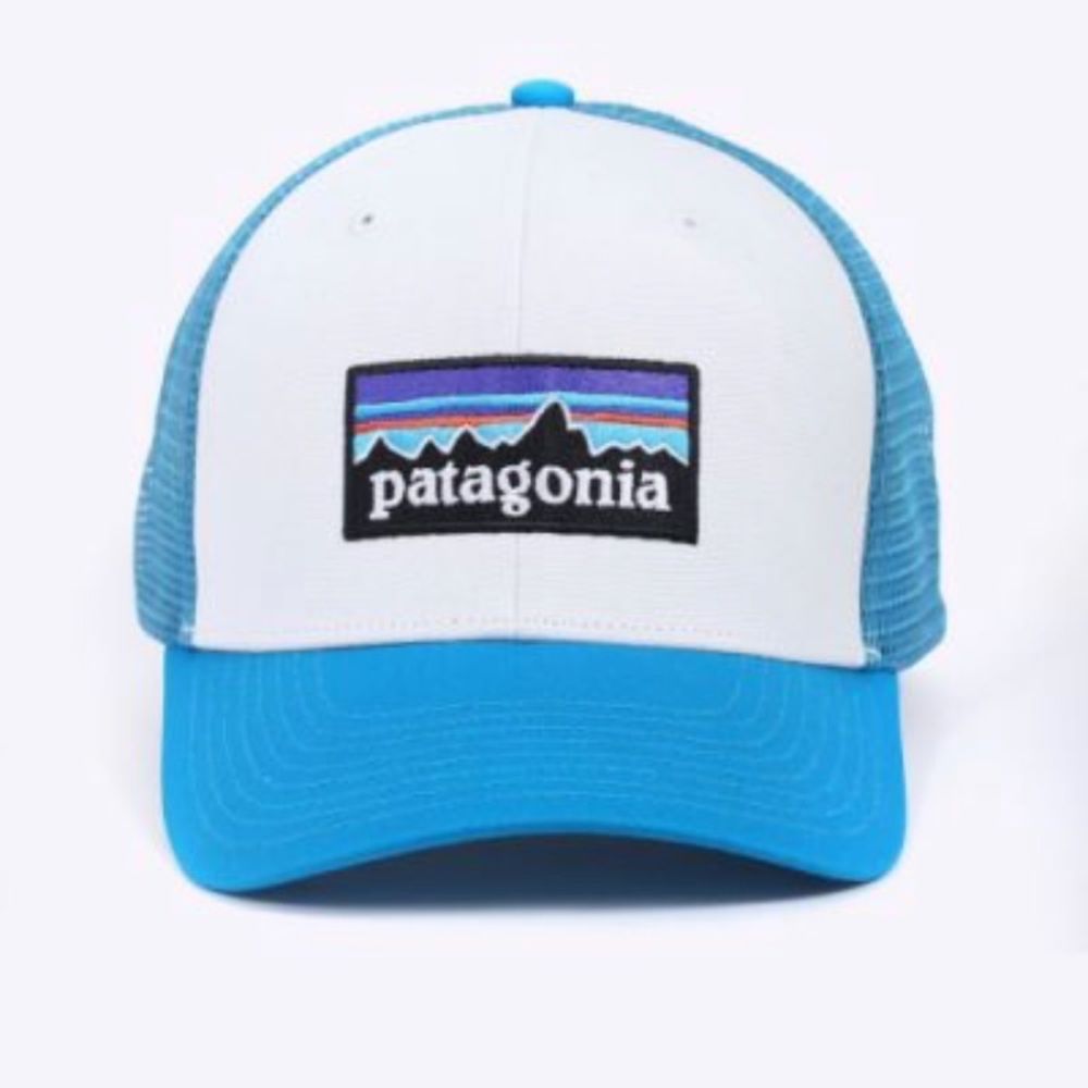 Patagonia Trucker Hat