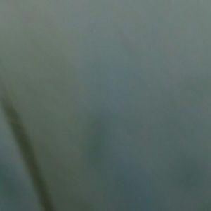 Meet your Posher, Martha