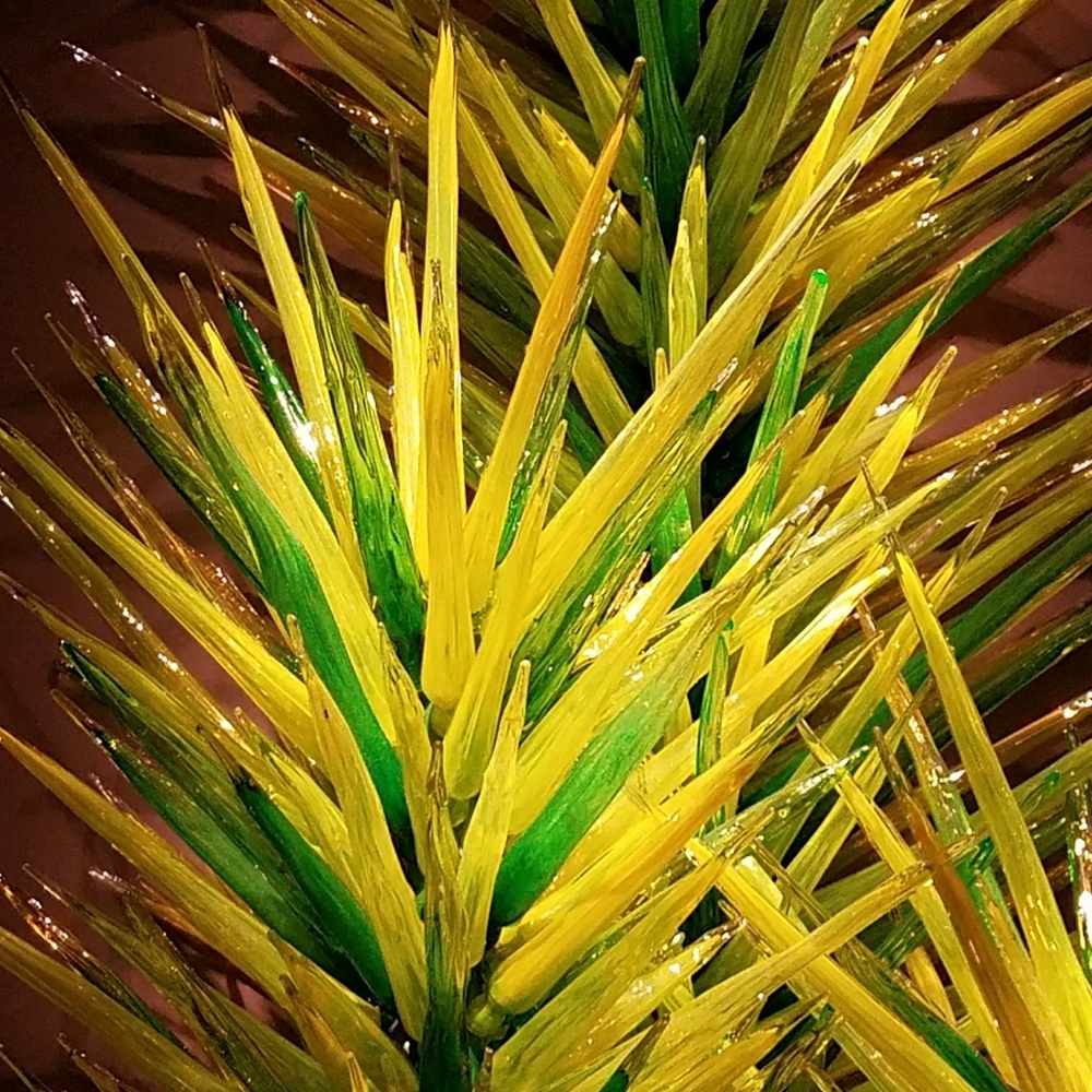 Meet your Posher, Shannon