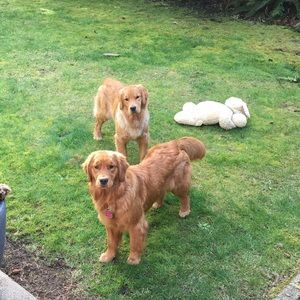 Meet your Posher, Ruth