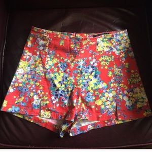 Festival shorts