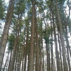 Meet your Posher, Tyra